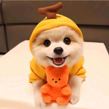 Pet Clothing Dog Transformation Frog Hoodie Autumn and Winter Warm Small Large Dog Method Dou Cat Bullfighting Clothes (Yellow Banana,XL)