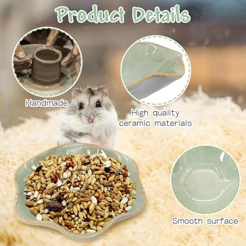 BNOSDM Shallow Ceramic Hamster Food Dish 2 Pcs Small Animals Food Bowl Lotus Feeding Dishes for Gerbils Mice Rats 4.5in (Green)