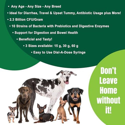 Dogzymes Canine Probiotic Paste Beneficial Bacteria-Enzyme 2.3 Billion CFU/gm Saccharomyces boulardii Organic Dried Honey Powder (60 Gram)