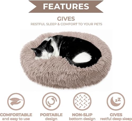 Whiskers & Friends Cat Beds for Indoor Cats & Small Dog, Fluffy Cat Bed
