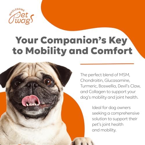 Dog Hip & Joint Supplement Soft Chews – Advanced Mobility & Comfort Support – Glucosamine, Chondroitin, MSM, Turmeric, Boswellia, Collagen – 60 Count