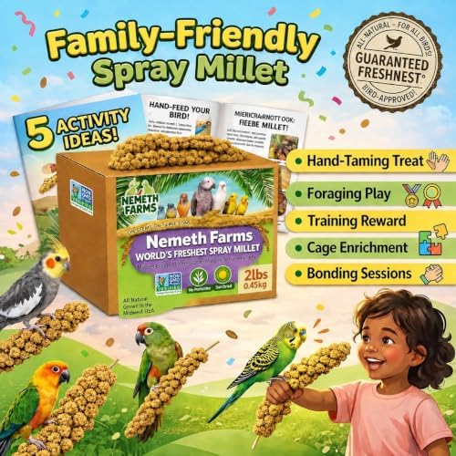 Nemeth Farms Spray Millet - Edible Tops Only, Non-GMO and Sun-Dried - 2 lbs for Cockatiels, Lovebirds and Budgies