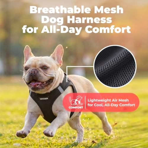 Voyager Step-in Air Dog Vest Harness - Black, X-Small