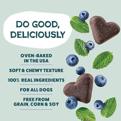 Shameless Pets Soft-Baked Dog Training Treats, Blueberried Treasure - 16 oz