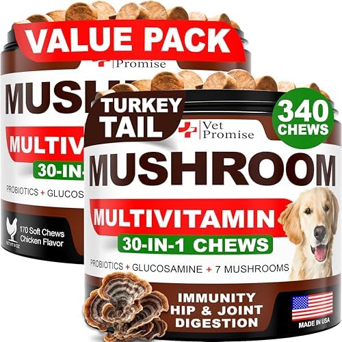 (2 Pack) Turkey Tail Mushroom for Dogs - 340 Chews - Mushroom for Dogs