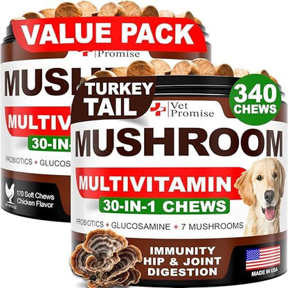 (2 Pack) Turkey Tail Mushroom for Dogs - 340 Chews - Mushroom for Dogs