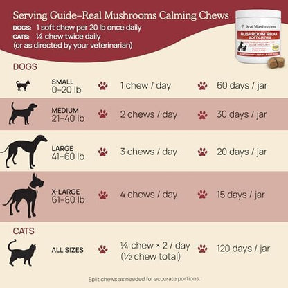 Calming Chews for Dogs & Cats – Soft Chews with Reishi & Lion’s Mane for Daily Composure – for All Breeds & Sizes – Calming Treats for Dogs: 1 Chew/20 lb Daily; Cats: ¼ Chew Twice Daily – 60 Count