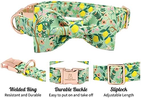 Lionheart glory Premium Floral Dog Collars, Bowtie Dog Collar, Adjustable Heavy Duty Girl Dog Collar with Bow for Small Dogs