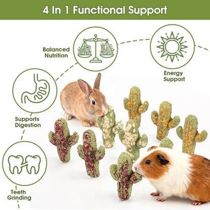 Abizoo Rabbit Chew Toys 9 Pack, Natural Timothy Hay Oat Bunny Treats Snacks