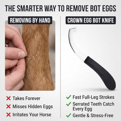 Pro Farrier Grooming Bugs Bot Knife– Stainless Steel Blade, Plastic Handle, Multi-Purpose Mane and Coat Cleaning Tool for Horses, Goats, and Cattle (Blue)