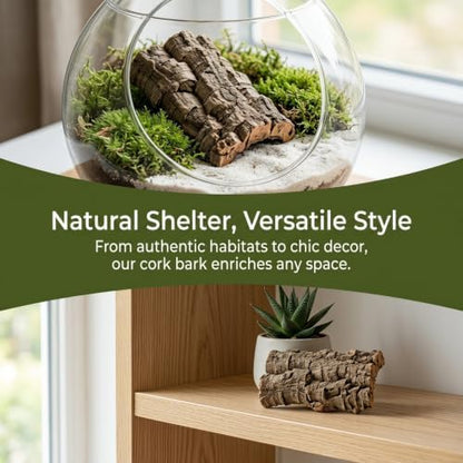 NUOBESTY 8 Pack Cork Bark for Reptile Hides and Terrarium Decorations