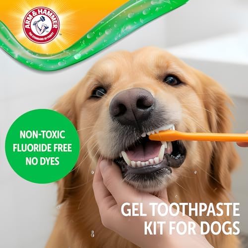 Arm & Hammer Complete Care Dental Gel Toothbrush Kit, Chicken, 3-Piece