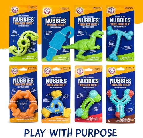Arm & Hammer Nubbies Rubber Ring Dog Dental Chew Toy, Peanut Butter