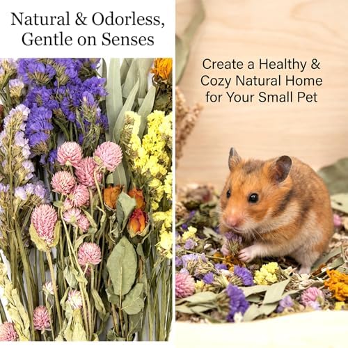 Sukh Natural Hamster Bedding Sprays - Floral Forage Cage Accessories
