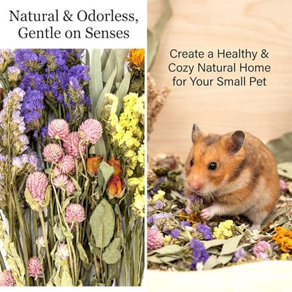 Sukh Natural Hamster Bedding Sprays - Floral Forage Cage Accessories