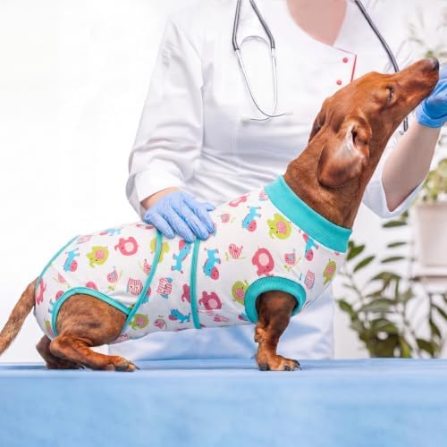 Kuoser Dog Recovery Suit, Female Male Spay Neuter Surgery Suit, Elephant, S