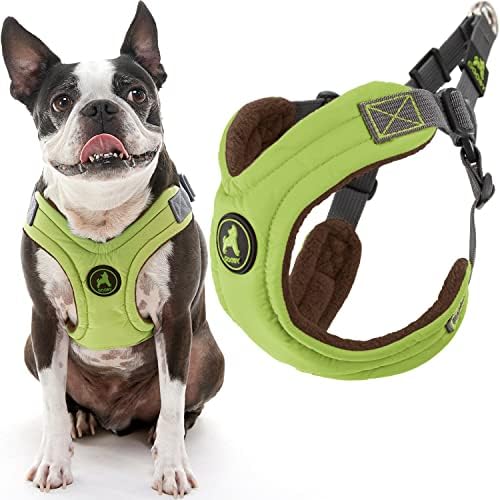 Gooby, Medium Green Memory Foam Escape Free Harness with 4-Point Adjustment for Small Dogs