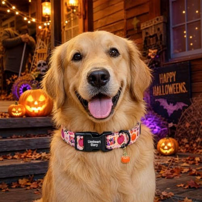 Fall Dog Collar, Halloween Pumpkin Floral Design Pet Collar for Large Dogs