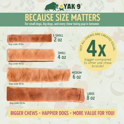 Yak9 Himalayan Yak Chews for Medium Dogs - High Protein, Rawhide Free, Long Lasting Treats - Non GMO, Gluten Free, Grain Free Yak Milk Dog Chew, Extra Large 6oz, Yak & Cow, 3 PC