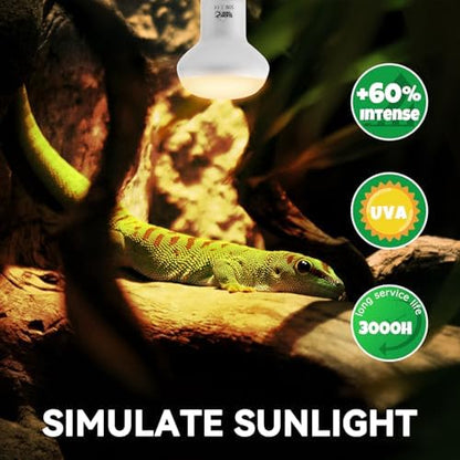 LUCKY HERP Intense Heat Lamp Bulbs for Reptiles 50W 2 Pack, UVA Daylight Reptile Heat Lamp, Reptile Basking Heat Light Bulb for Amphibian, Tortoise, Bearded Dragon, Lizard, Turtle, Snake Heating Use