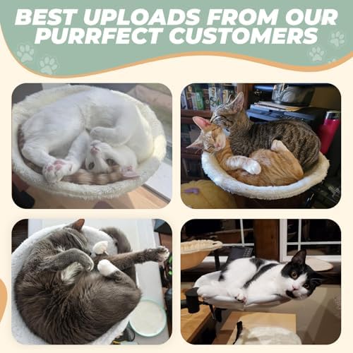 Deskside Dreamer - Cat Desk Perch, [+ Catnip Fish Toy], Comes with [2 Washable Fabrics]: Mesh and Plush, 360° Rotating & Height Adjustable [Beige]. Max Weight 35LBS