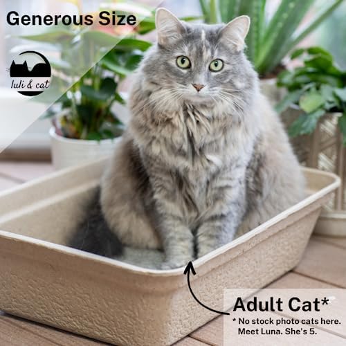 Luli & Cat Disposable Litter Boxes for Cats | Jumbo Sized 4-Pack | Durable and Water Resistant