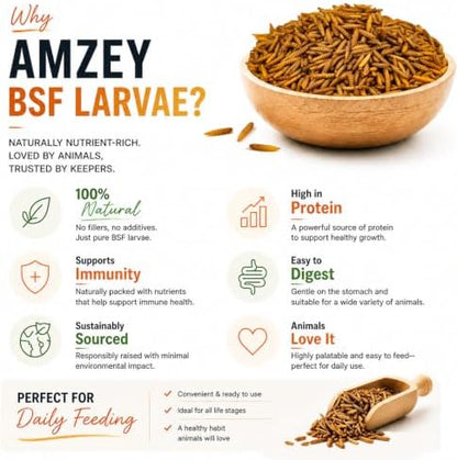 Amzey 11 LB Dried Black Soldier Fly Larvae, High-Calcium Chicken Treats