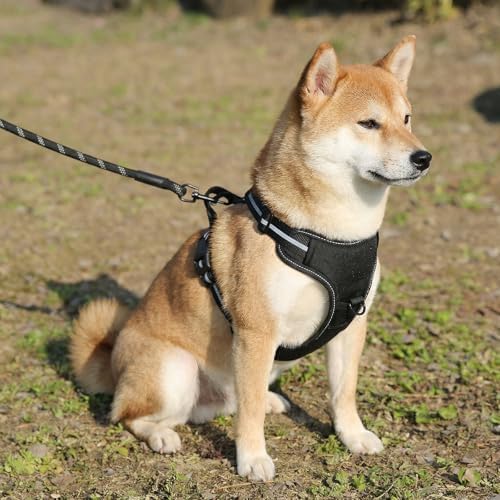 Amazon Basics No-Pull Dog Harness, Soft Padded Adjustable Vest with Reflective Stripes, Medium, Black