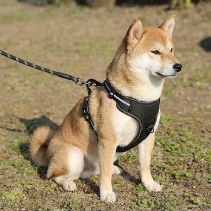 Amazon Basics No-Pull Dog Harness, Soft Padded Adjustable Vest with Reflective Stripes, Medium, Black