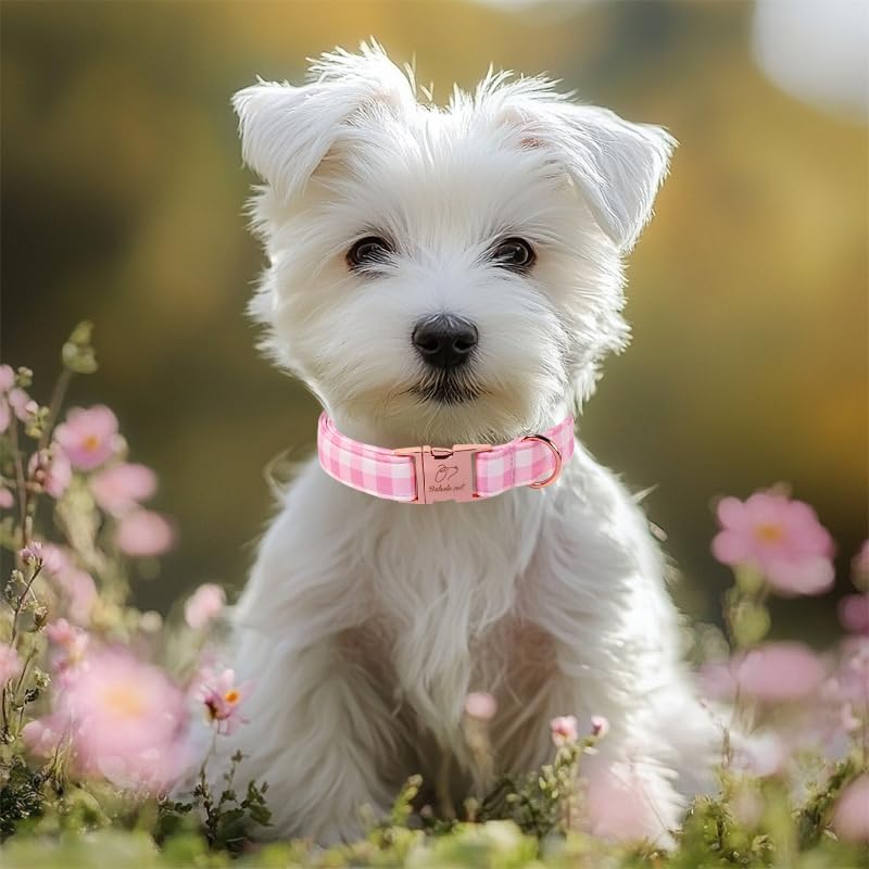 Girl Dog Collar, Classic Pink Gingham Dog Collars - Soft Adjustable Spring Summer Everyday Collars for Small Medium Large Dogs, Sweet Checkered Female Dogs Collar S