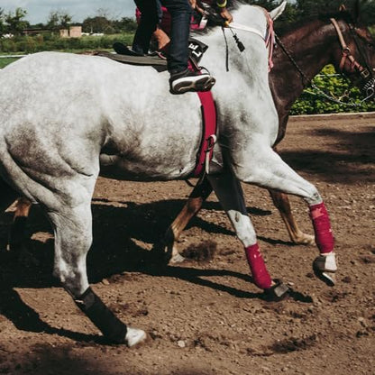 Horse Polo Wraps 2.5m Equestrian Leg Bandage Wrap Set of 4 Packs