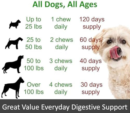 TummyWorks Probiotics for Dogs, Probiotics Chews for Digestive & Gut Health
