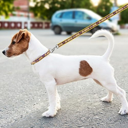 NBA LOS ANGELES LAKERS Dog Leash, Size Large. Heavy-Duty Metal Swivel Buckle Pet Leash