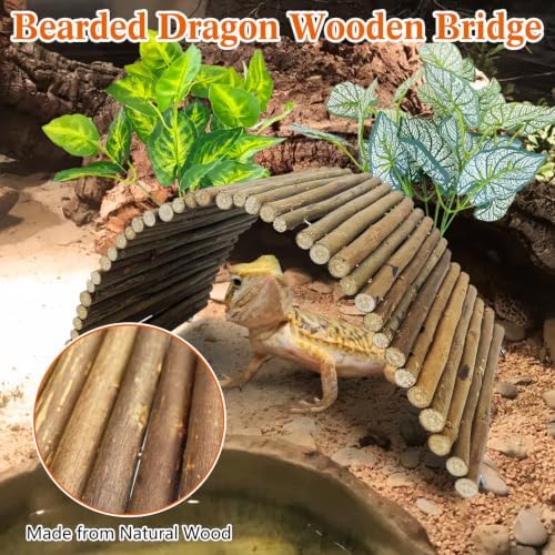 BNOSDM Reptile Hide Set Wooden Bridge Tortoise Hideout Climbing 15.7x5.9in