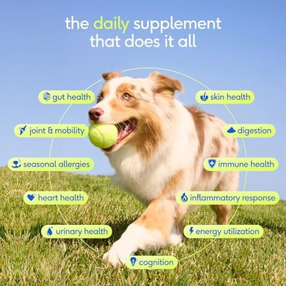 Native Pet The Daily Dog Vitamins & Supplements - 11-in-1 Multivitamin for Dogs - Daily Powder Supplement with Probiotics, Collagen - 90 Scoops