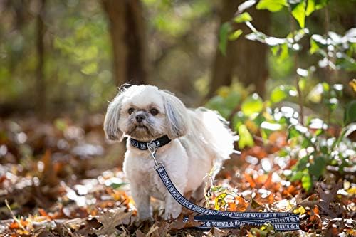Pets First NHL Toronto Maple Leafs Leash for Dogs & Cats, Medium. - Walk Cute & Stylish! The Ultimate Hockey Fan Leash!, Medium (4 ft Long x 0.62 in Width) (TOR-3031-MD)