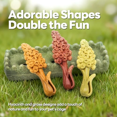 TEEWY 4PCS Guinea Pig Chew Toys, Prevent Teeth Overgrowth, Natural Timothy Grass & Vegetables, Hamster Toys, Guinea Pig Toys, Chinchilla Toys, Grass Patch & Hyacinth