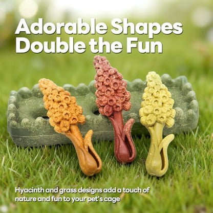TEEWY 4PCS Guinea Pig Chew Toys, Prevent Teeth Overgrowth, Natural Timothy Grass & Vegetables, Hamster Toys, Guinea Pig Toys, Chinchilla Toys, Grass Patch & Hyacinth
