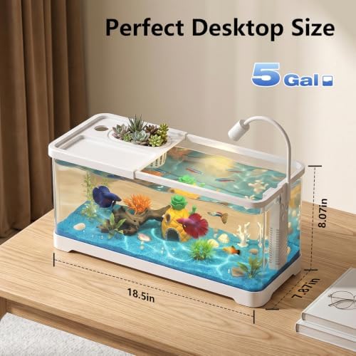 5 Gallon Fish Tank Aquarium Starter Kit with Filter and Light(Large White)