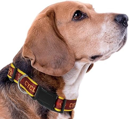 Pets First Collegiate PET Collar New Version Iowa State Cyclones Dog Collar, Size Medium. Best Sports Team Color for Dogs & Cats. A Shiny & Colorful Dog & Cat Collar Licensed by The NCAA