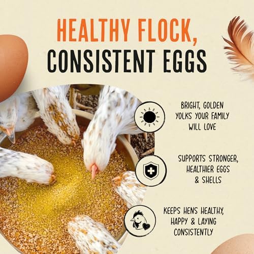 Roosty's Gold Dust Daily Egg Booster Chicken Supplement, 16oz
