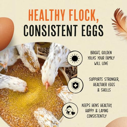 Roosty's Gold Dust Daily Egg Booster Chicken Supplement, 16oz