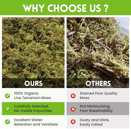 Riare 3.5oz Natural Sphagnum Moss for Reptiles, Terrarium Substrate Bedding