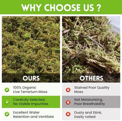 Riare 3.5oz Natural Sphagnum Moss for Reptiles, Terrarium Substrate Bedding