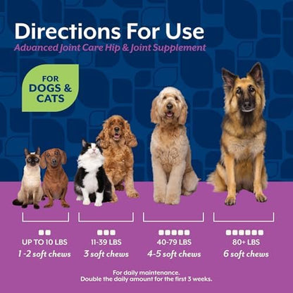 NaturVet Advanced Joint Care with Glucosamine, Dogs & Cats, 180ct