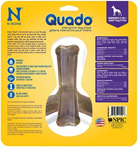 N-Bone Nbone 115097 Quado in Pumpkin, Large (575174) (Pack of 6)
