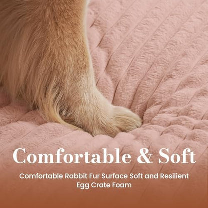 Medium Dog Bed Orthopedic Foam with Waterproof Lining