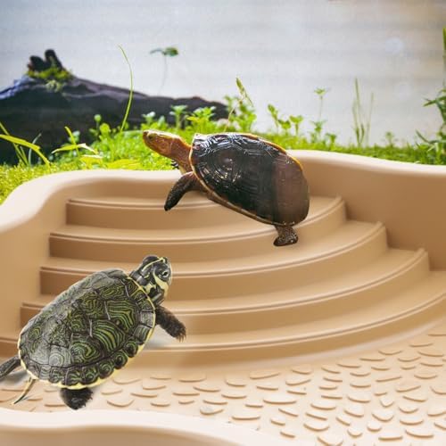 Reptile Bathing Pool with Ramp, Turtle Tortoise Water Bowl & Food Dish