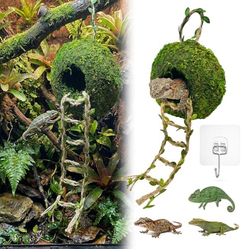 Artificial Handmade Cave Hideout with Hanging Rope & Hemp Climbing Ladder – Reptile Tank Decor Accessories for Leopard Crested Geckos, Chameleons, Snakes. Terrarium Decor (6")