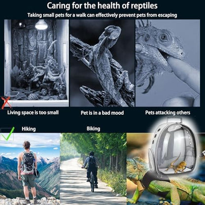 Bearded Dragon Carrier with Harness and Leash Small Pet Carrier